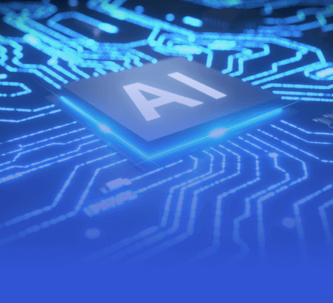 新手入门指南：MK体育官方版